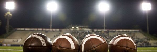 Scouting Georgia banner