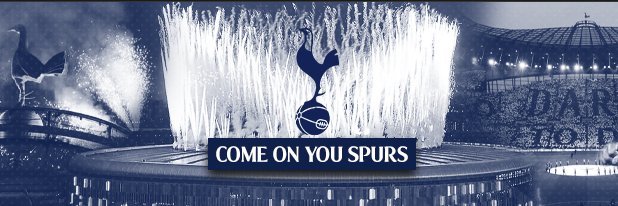 🍀🏈RayinSD🏎 banner