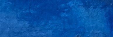 tomás banner