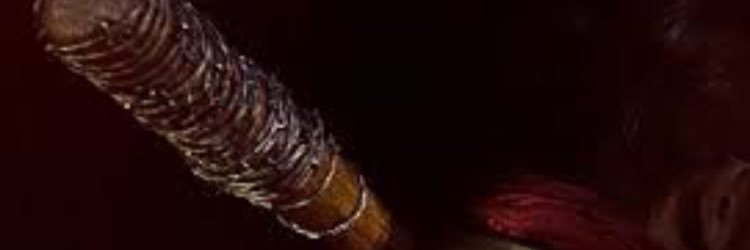 Verónica banner