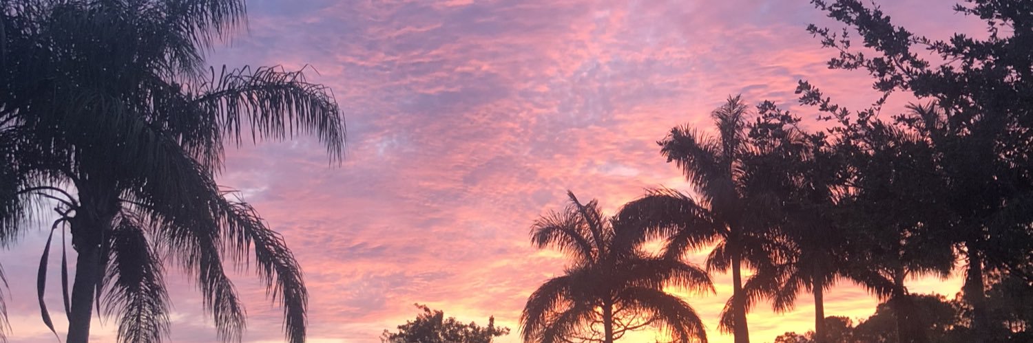 Isabella Johnson banner