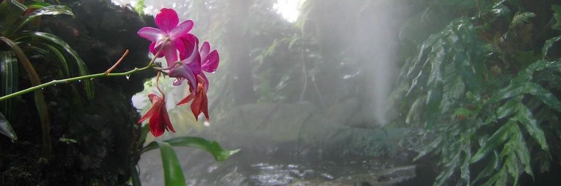 biasedblue's profile banner image
