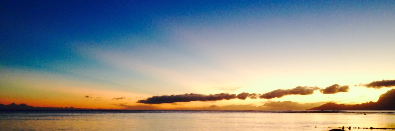 makia_dejesus's profile banner image