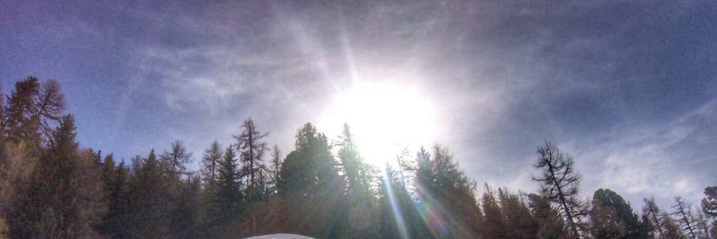 SarahInalbon's profile banner image