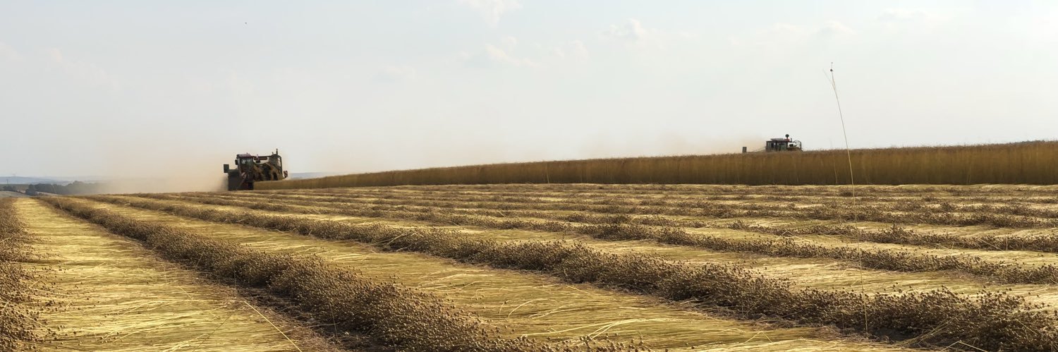 Geraud Decock banner