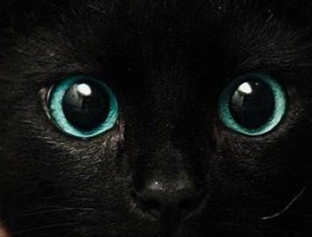 ichwam's profile banner image