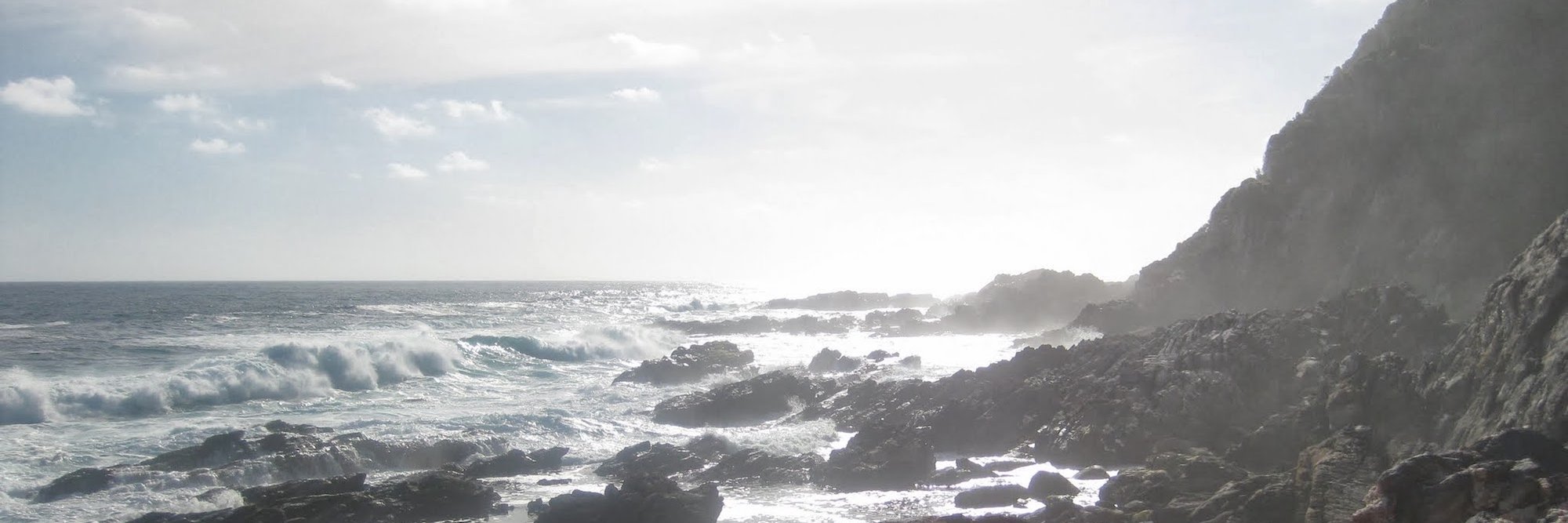 Early Investigators Forum banner