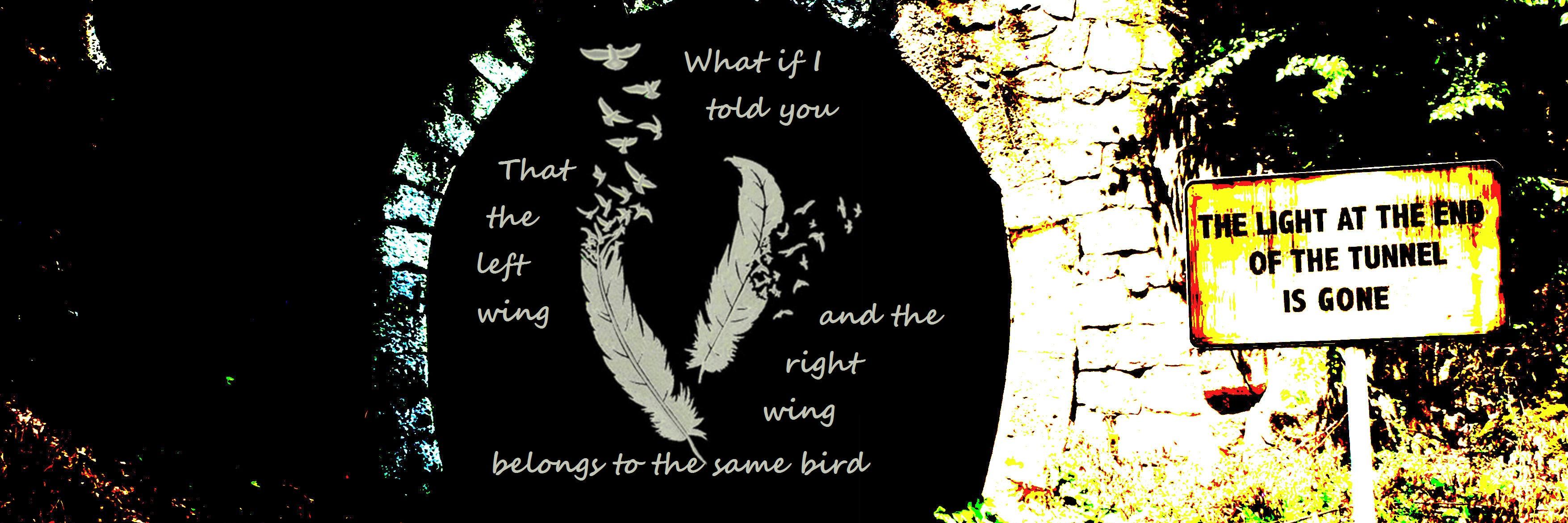 faelge's profile banner image