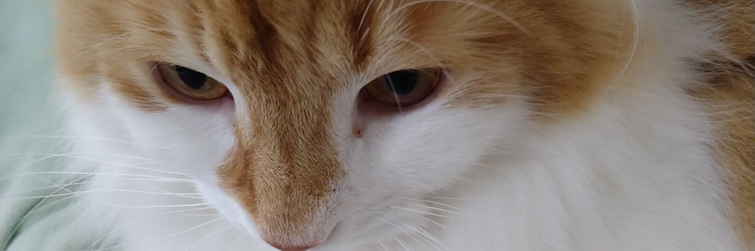 ☭MI-TA(みた)☭ banner