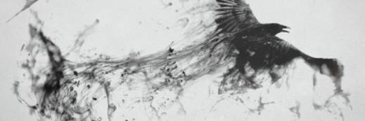 Ravens_Claws's profile banner image