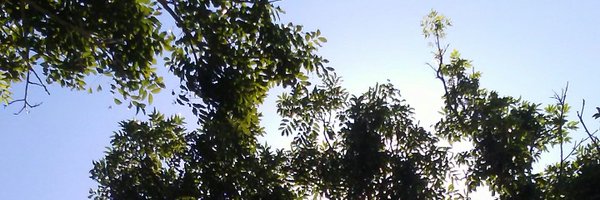 Grehil Profile Banner