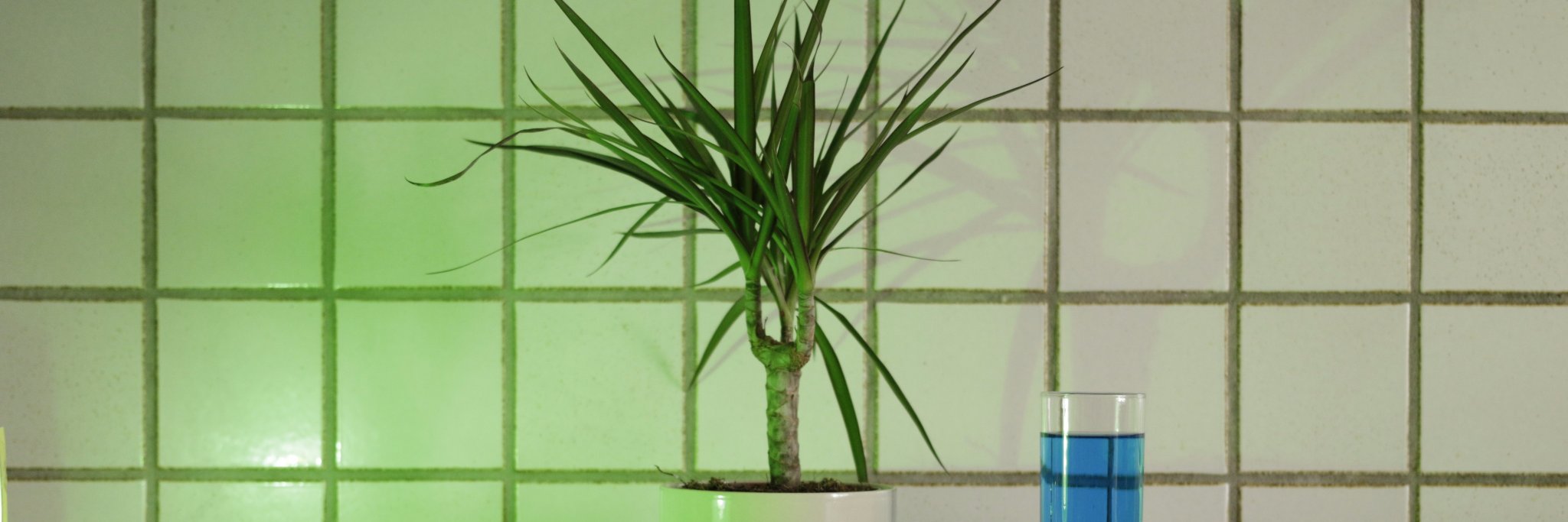 @yassinsiouda@mastodon.doesnotexist.club banner