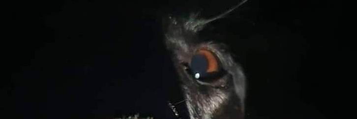 _OmarG_'s profile banner image