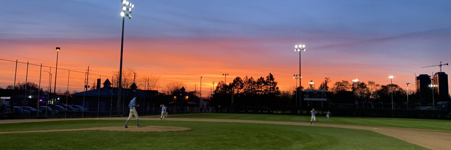 Brampton Royals banner