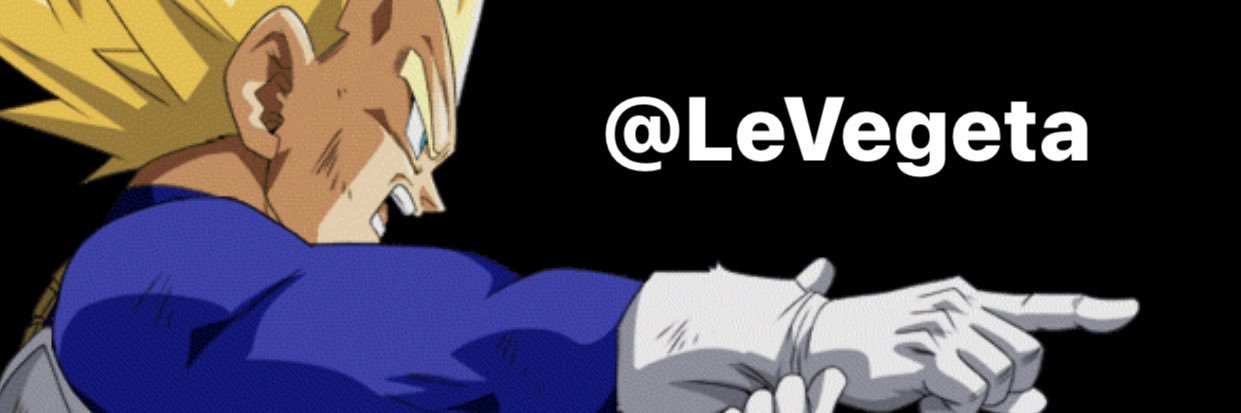LeVegeta's profile banner image