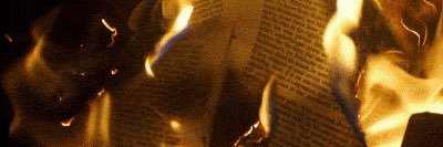 Kadie banner