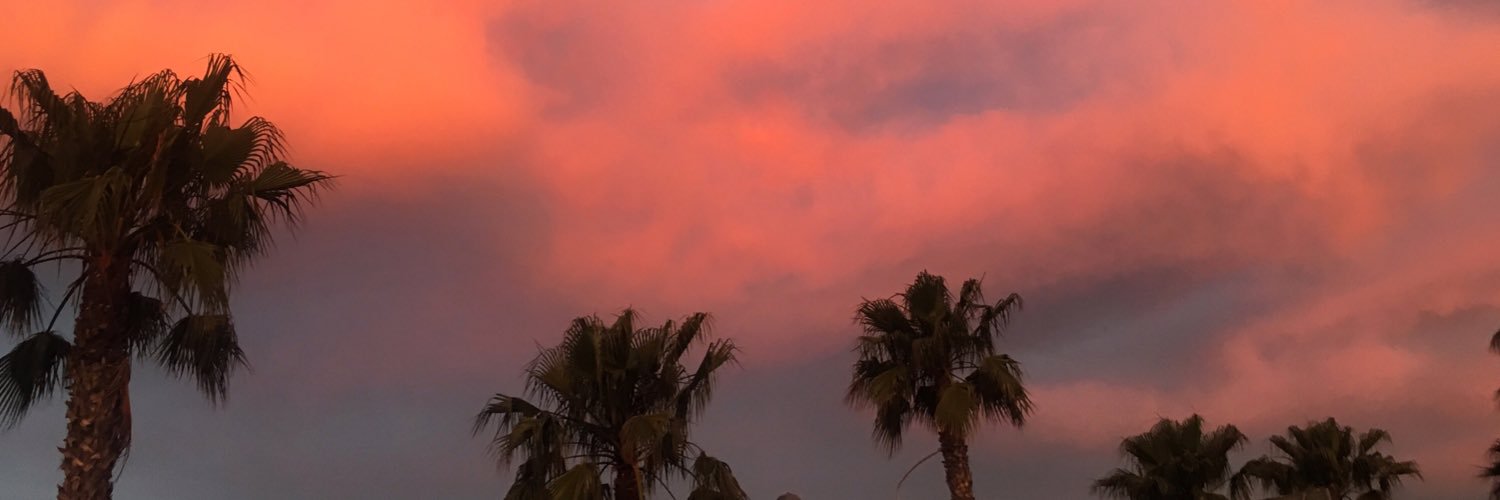 Ms_RobynJessi's profile banner image