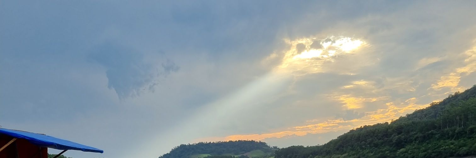 shebisilver's profile banner image