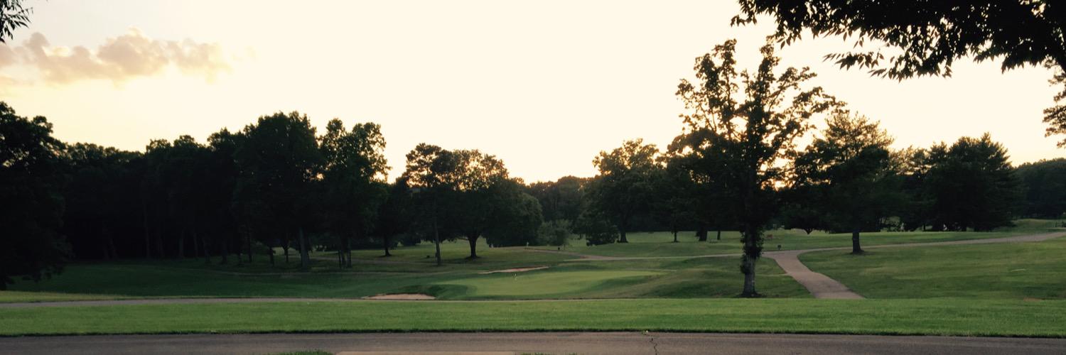 Whitney Tomlin banner