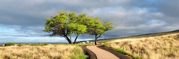 barelymaps Profile Banner