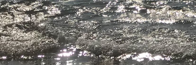 Jaque_Yepiz's profile banner image