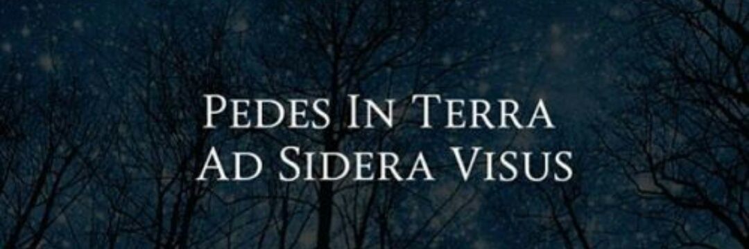 🦋𝔸𝕟𝕕𝕣𝕖𝕒 ℝ𝕖𝕡𝕚𝕤𝕠🦋 banner