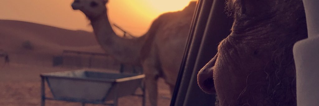 ItsMk7l_69's profile banner image