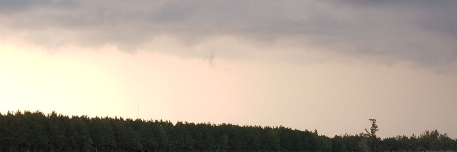 lshernandez2017's profile banner image
