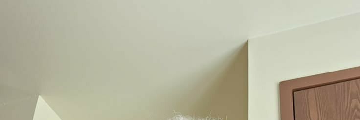 EmreEryarsoy's profile banner image