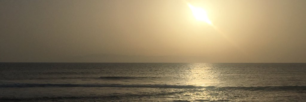 sofee_leek's profile banner image