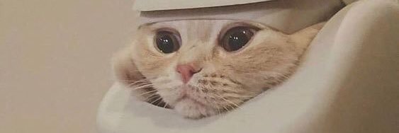 hamham ft.ถ้าหายไปคือหายจิง banner