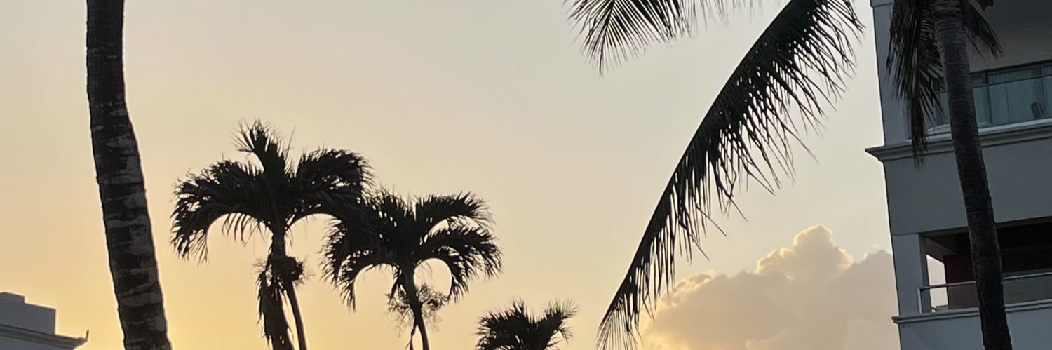 karinamonroy29's profile banner image