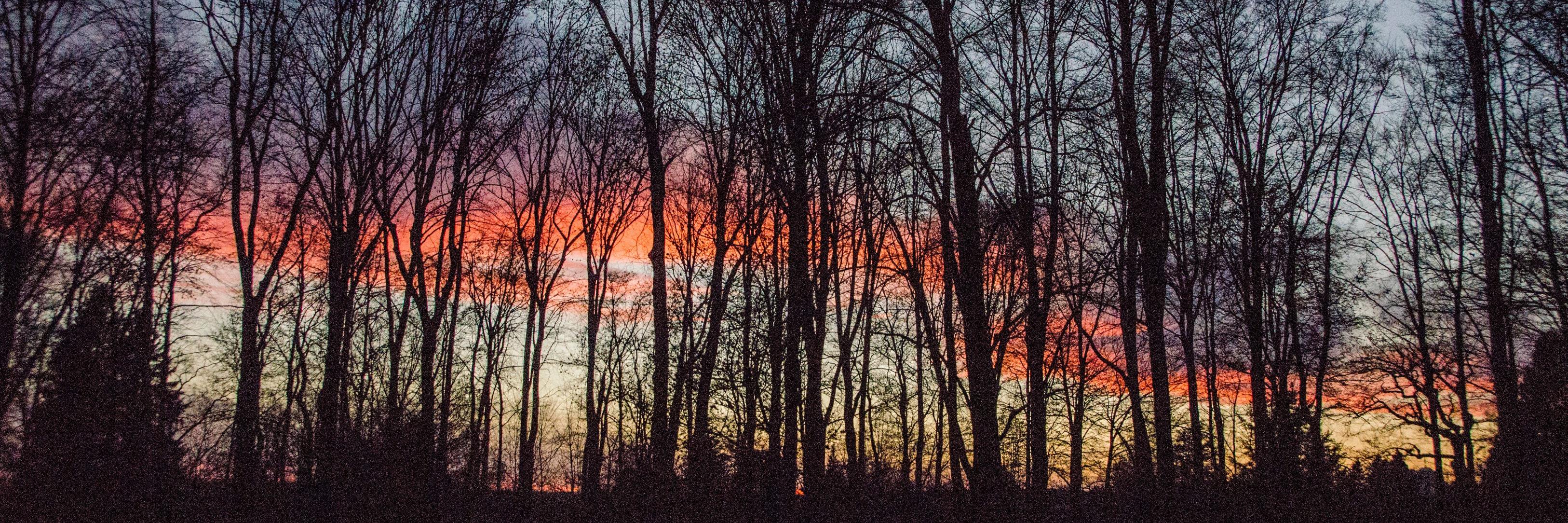 bensoellner's profile banner image