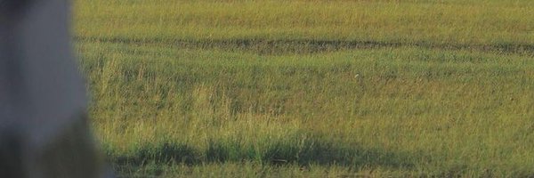 tiggerismybabe Profile Banner