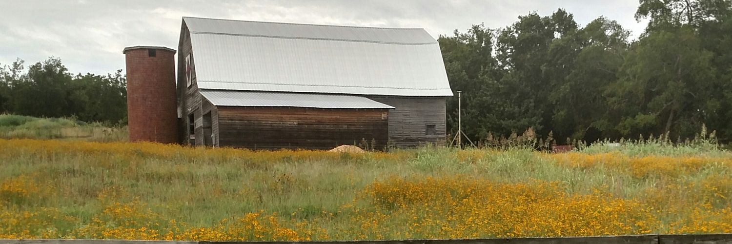 scottallen2352's profile banner image