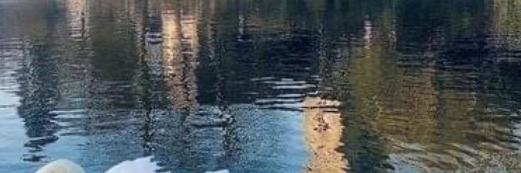 BFPsychotherapy's profile banner image