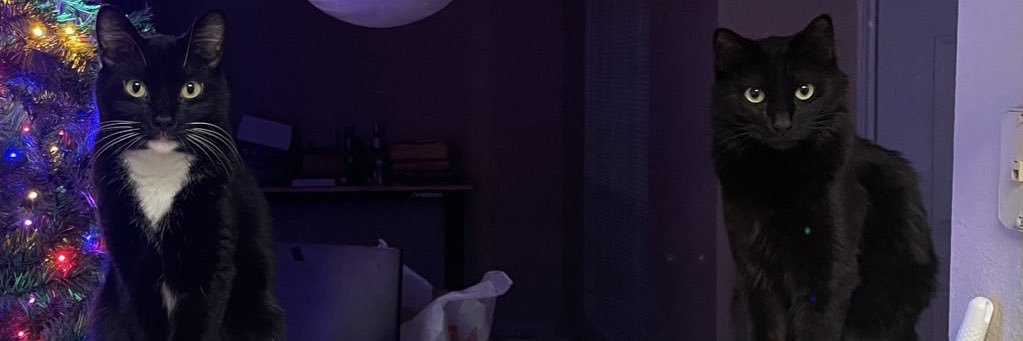 whatahood's profile banner image