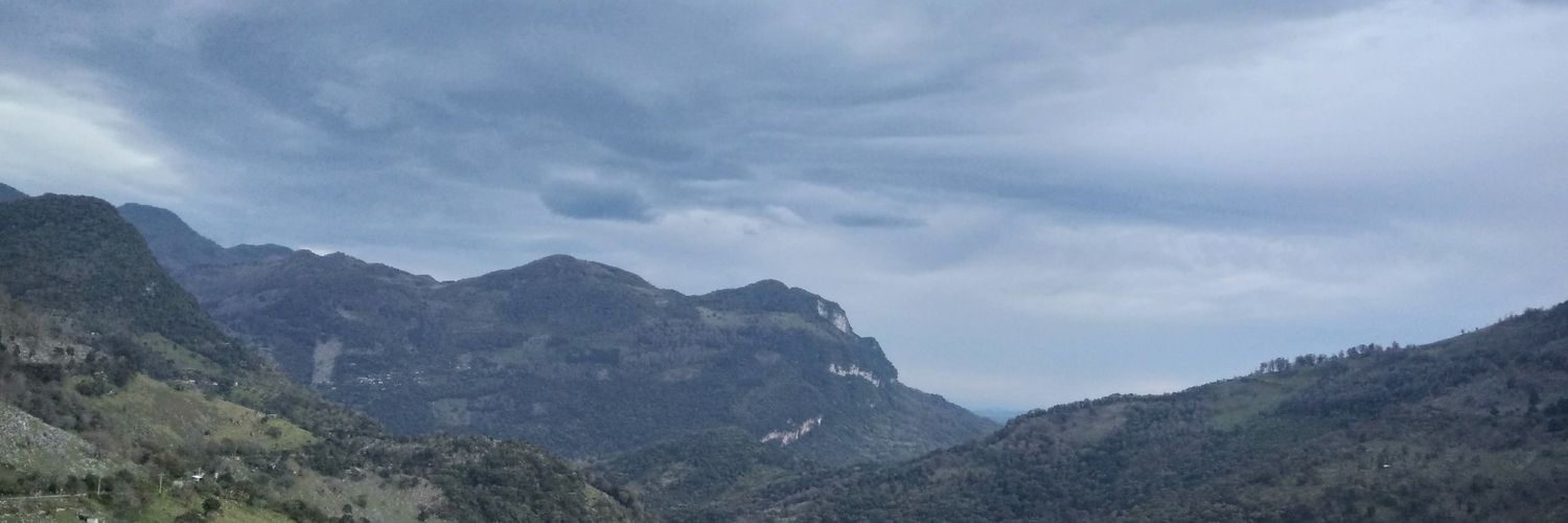 elejuve's profile banner image