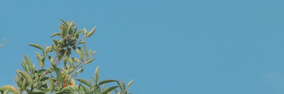 katy_lzh's profile banner image