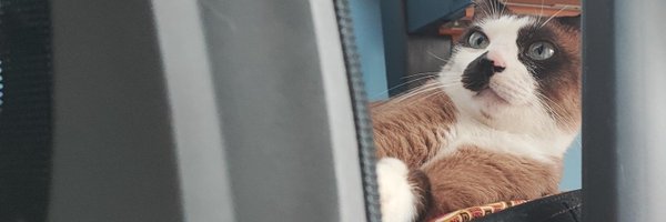 thanr Profile Banner