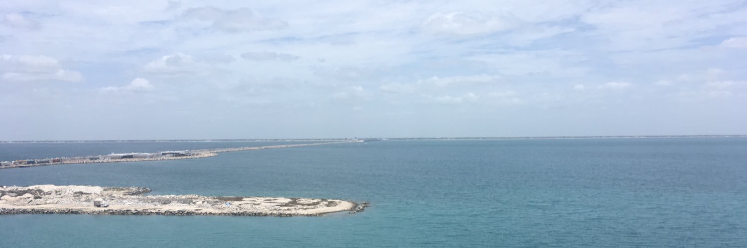 Natasha Stevenson banner