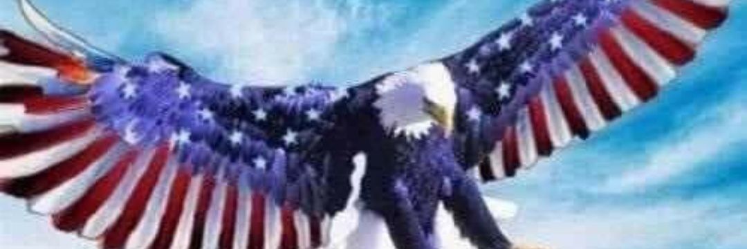 mikmoral's profile banner image