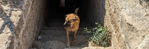 LeeCaspi Profile Banner