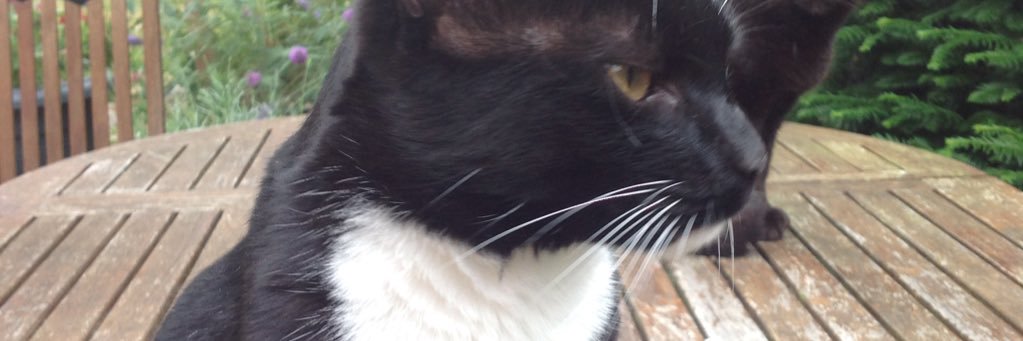 ForestPat1951's profile banner image