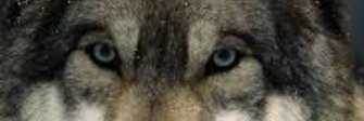 rb banner