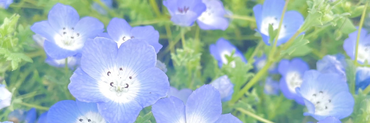 _chiinemu's profile banner image