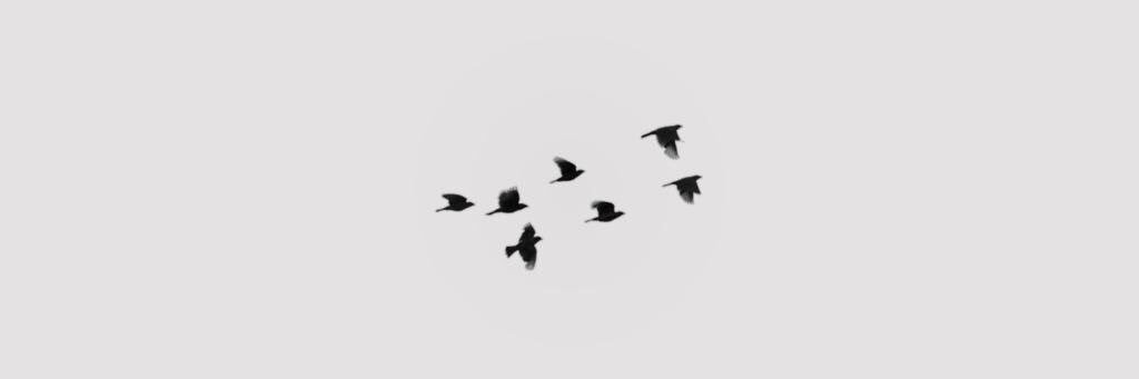 _izuzi's profile banner image