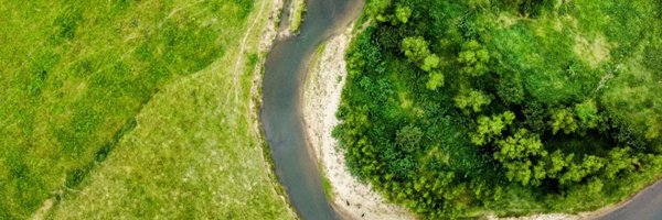 Orlinflowers Profile Banner