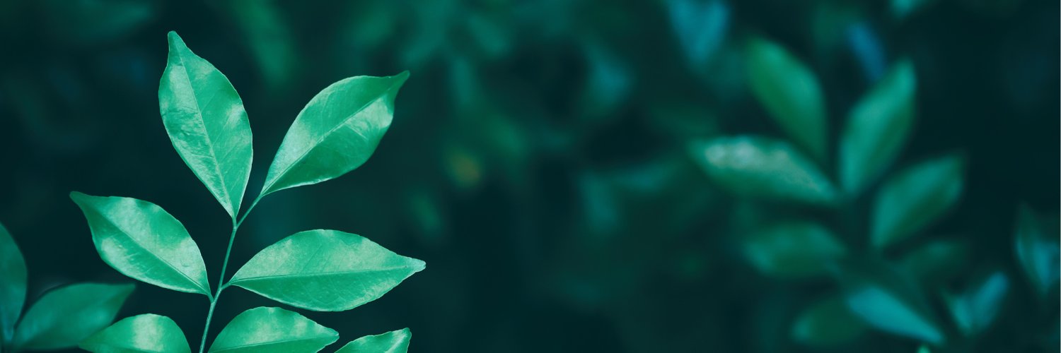 Becton Wellness banner