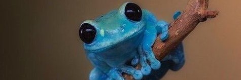 J₳ck Tennent banner